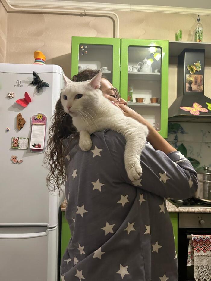 Фото Новосибирцы обняли кошек в честь праздника 2